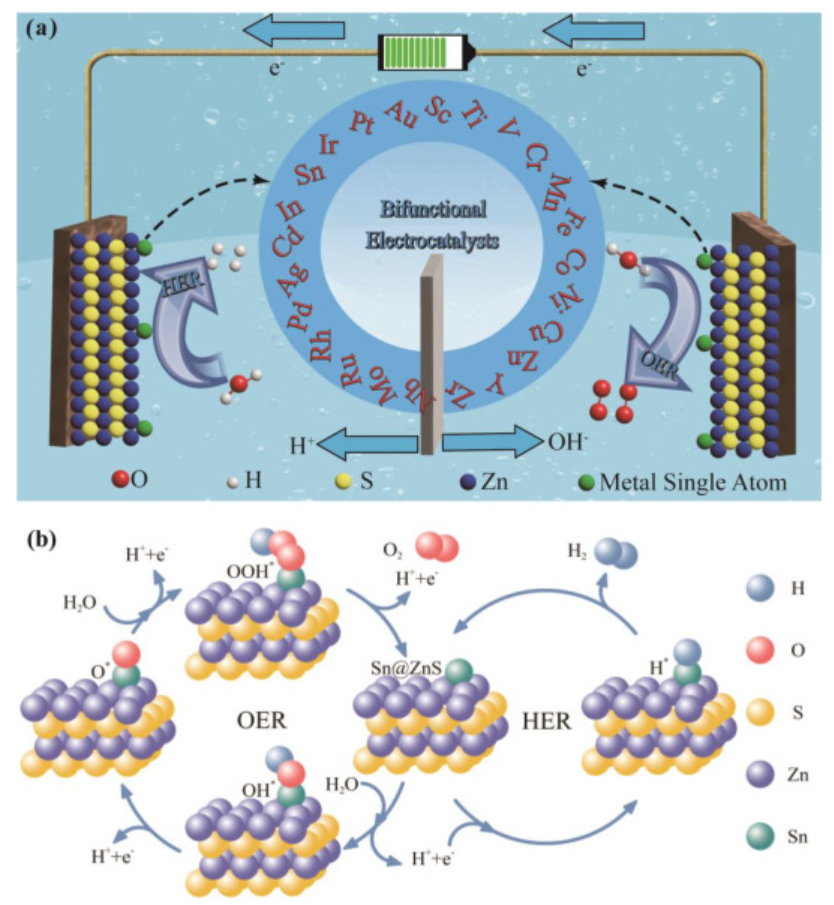華科大楊應(yīng)舉IJHE：ZnS穩(wěn)定的單原子用于高效水電解