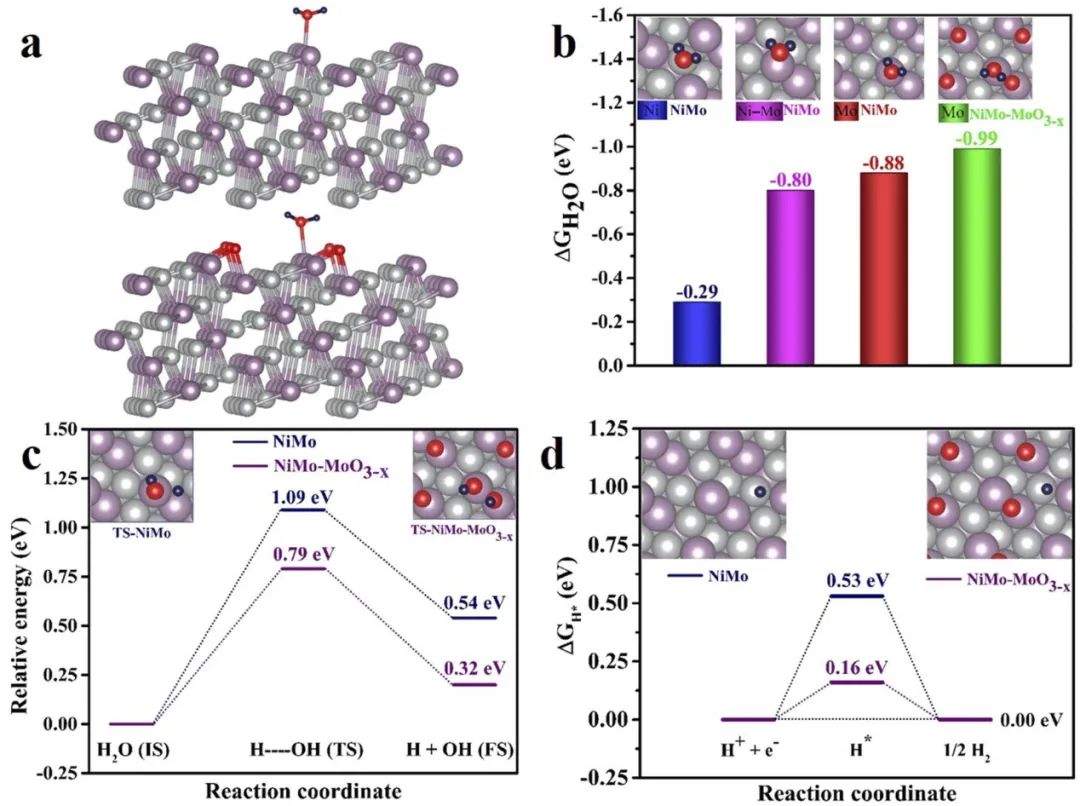 催化頂刊集錦：ACS Catalysis、Small、AFM、JMCA、Nano Letters、ACB等成果