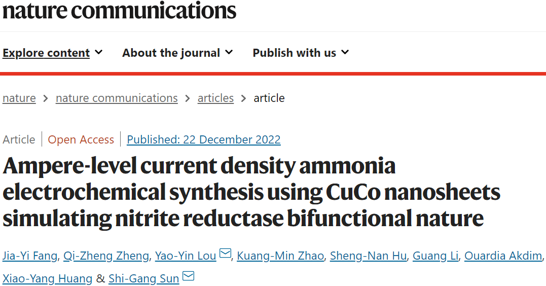 孫世剛院士/樓耀尹Nature子刊：FE近100%！CuCo納米片實現(xiàn)安培級電合成氨