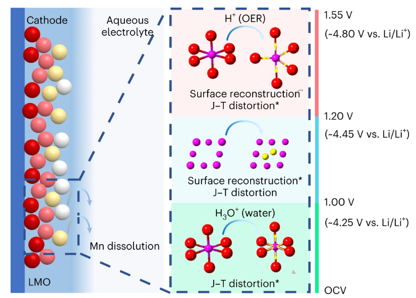 Nature Nanotechnology：正極材料的降解機(jī)制