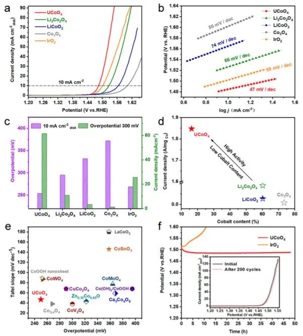 8篇催化頂刊：JACS、ML、JMCA、Small Methods、Small、Appl. Catal. B.等成果