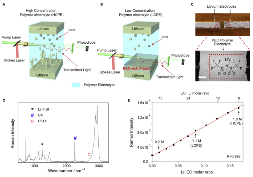 楊遠(yuǎn)/閔瑋/程前Joule：穩(wěn)定鋰負(fù)極的聚合物電解質(zhì)的相變策略