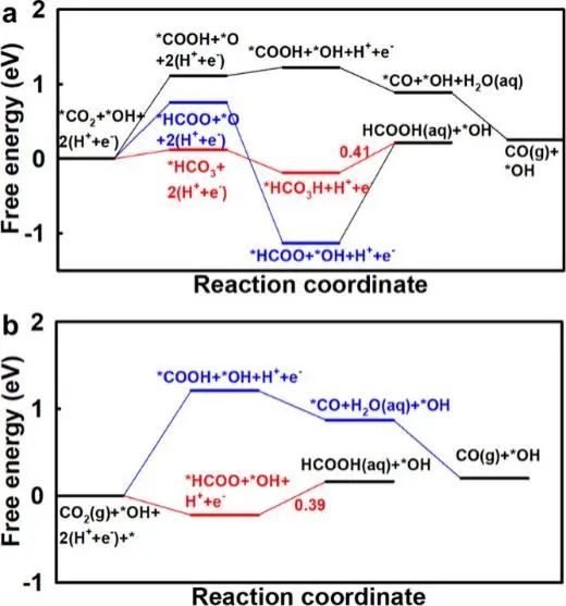 中科大穆楊/王功名ACS Catal.: 表面非共價(jià)相互作用調(diào)節(jié)CO2的電化學(xué)質(zhì)子化行為