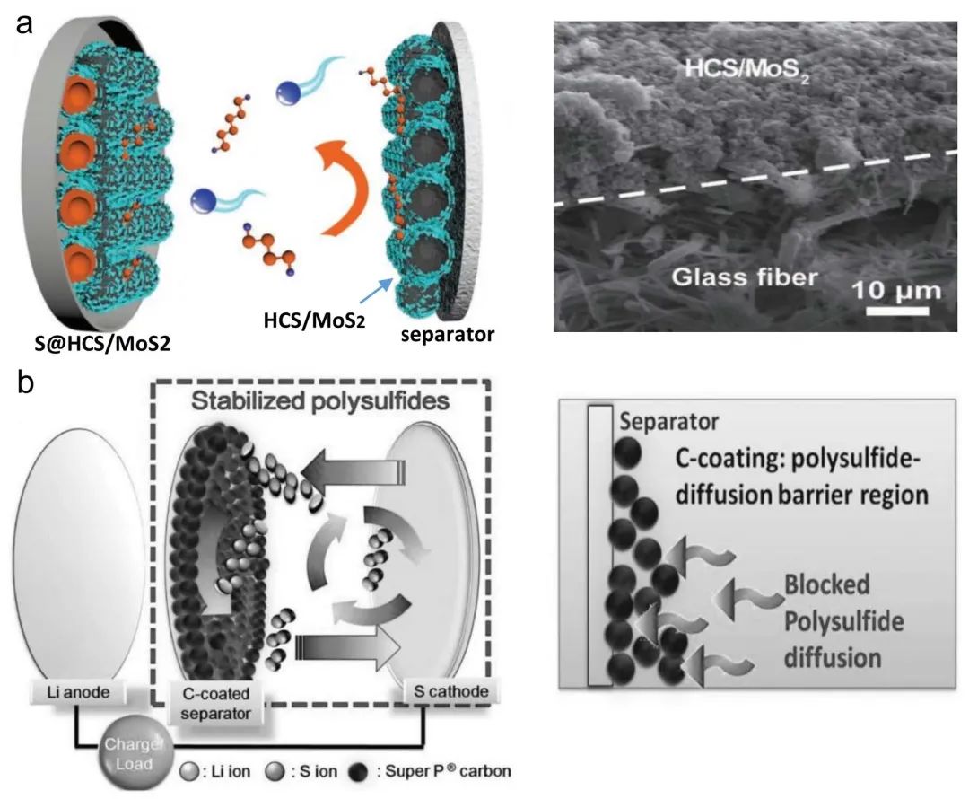 西南大學徐茂文EEM：一文盡覽鋰硫電池改性隔膜研究進展！