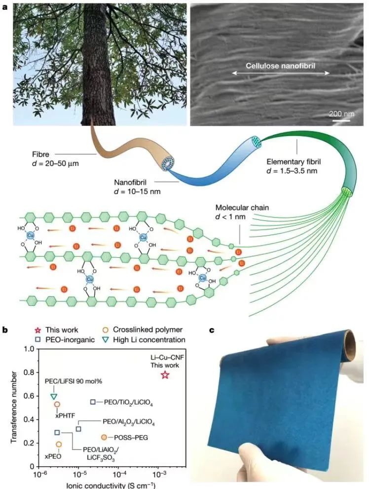 電池快充突破！Nature、Science重磅報(bào)道！