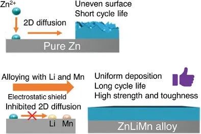 謝國強/邱華軍Small: 高強度增韌Zn-Li-Mn合金作為長壽命/無枝晶鋅負極