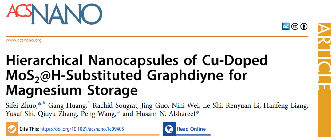 ACS Nano: 用于鎂存儲的分層納米膠囊正極