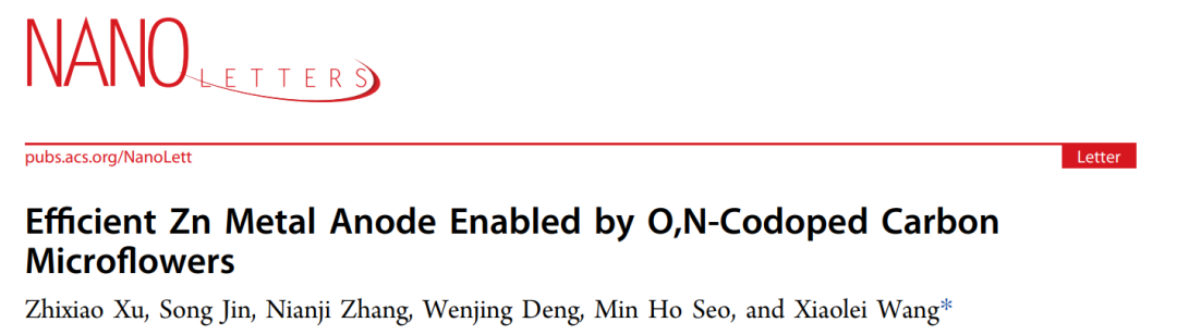 阿爾伯塔大學(xué)王曉磊Nano Lett.: O/N共摻雜碳微花實(shí)現(xiàn)高效鋅金屬負(fù)極