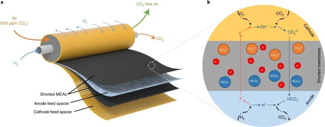 最新Nature Energy：近100% CO2去除率！短路膜EDCS助力HEMFCs