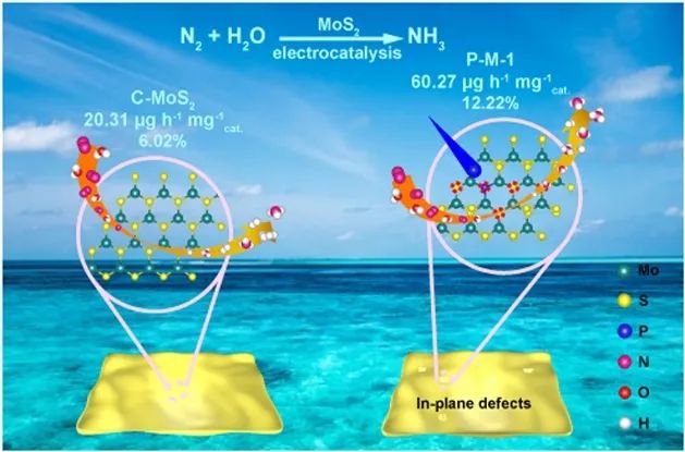 吳壯志/王梁炳Appl. Catal. B.：P-摻雜S空位的MoS2助力電催化N2還原為NH3