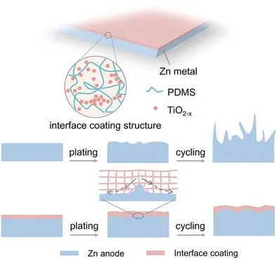 張乃慶/張宇/范立雙AM: 用于穩(wěn)定鋅金屬負(fù)極的動(dòng)態(tài)自適應(yīng)界面涂層