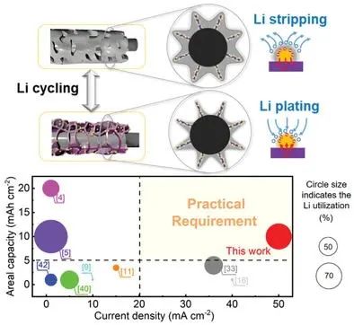 清華楊穎Adv. Sci.：鋰利用率達70%的深度循環(huán)和超高速率鋰金屬負極