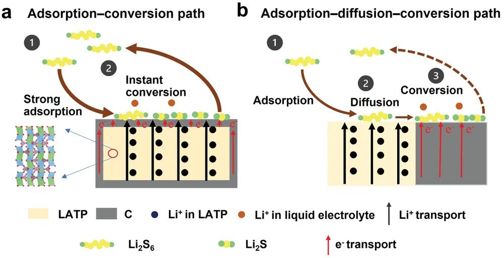 孫學良院士/賀艷兵AM：電子和離子共導電催化劑實現多硫化鋰的瞬時轉化