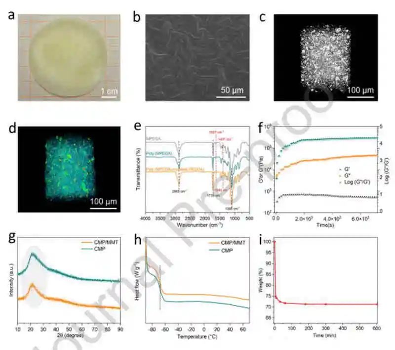 西交丁書(shū)江Nano Energy：金屬鋰電池聚合物固體電解質(zhì)中蒙脫石的局部電場(chǎng)效應(yīng)