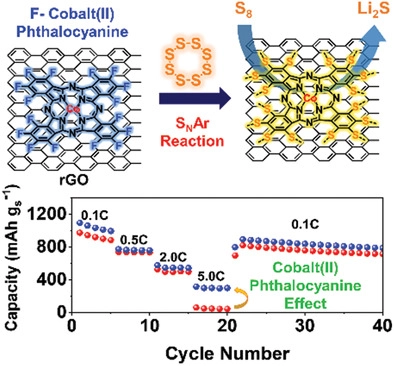 AFM：以鈷(II)為中心的氟化酞菁實(shí)現(xiàn)優(yōu)異轉(zhuǎn)換動(dòng)力學(xué)的堅(jiān)固鋰硫電池