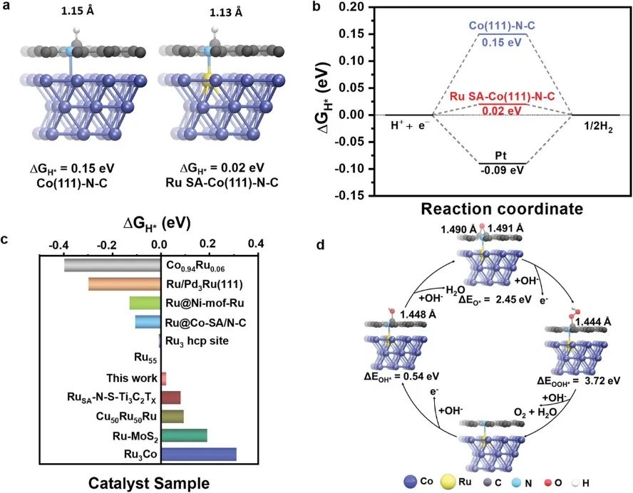 ?天大/金屬所/薩里大學(xué)AFM：碳保護(hù)SAA材料作為多功能電催化劑