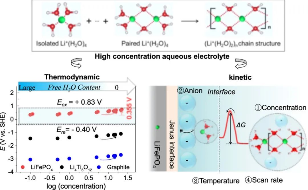 潘鋒/林原Nano Energy：理解濃電解液中鋰離子熱力學和動力學行為以開發(fā)水系鋰離子電池