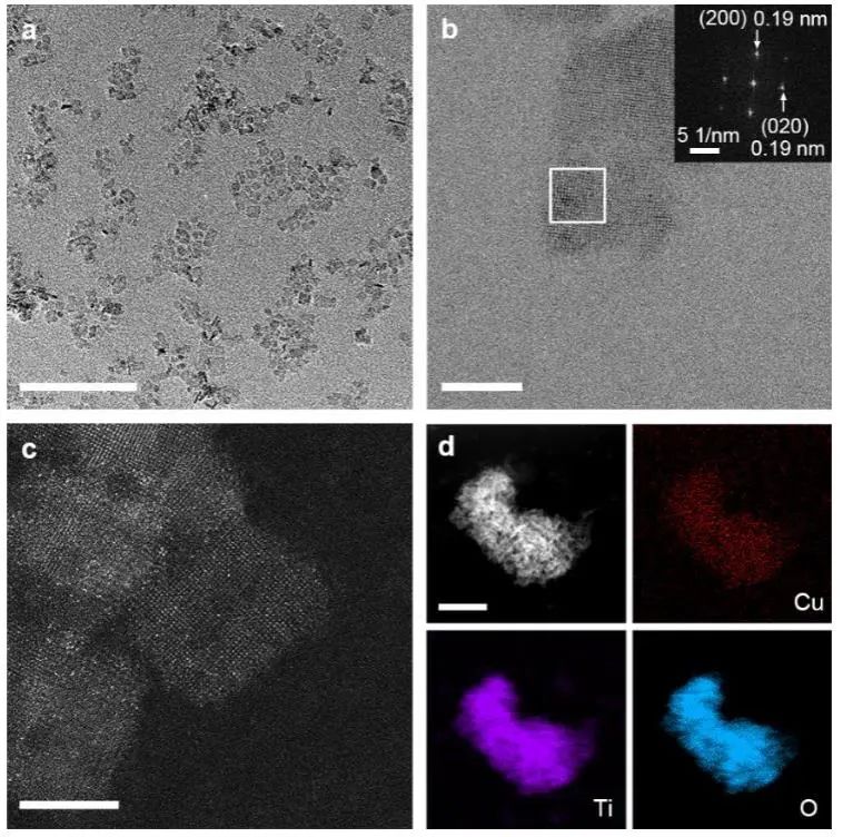 催化頂刊集錦：Angew.、JACS、Chem、AM、ACS Catal.、ACS Nano、Nano Lett.等成果