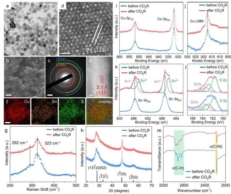 催化頂刊集錦：Nature子刊、JACS、Angew.、AFM、Nano Letters、ACS Catal.等成果