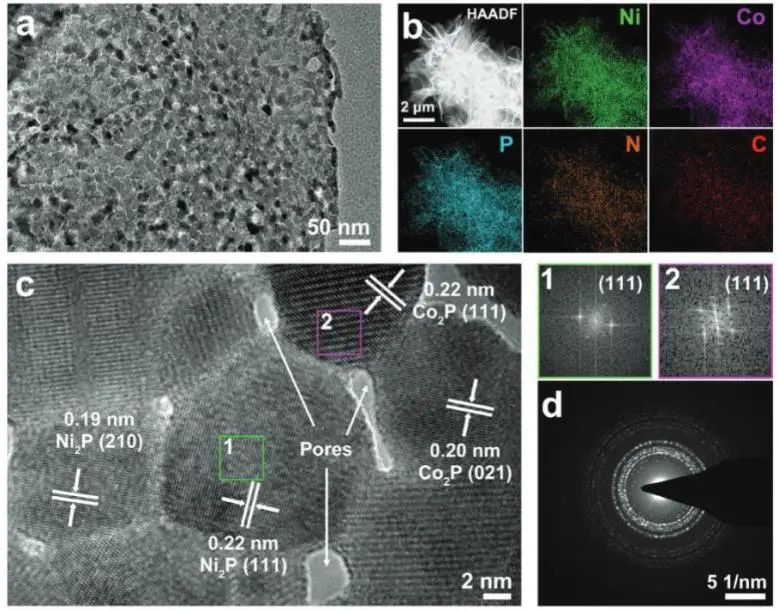 催化頂刊集錦：Nature子刊、JACS、ACS Nano、ACS Energy Lett.、AFM、NML等成果