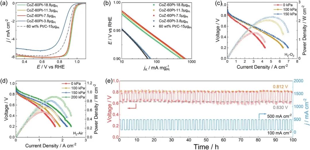 催化頂刊合集：EES、AM、AFM、Adv. Sci.、Small、JEM、CEJ等成果！