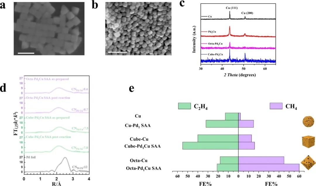 催化頂刊合集：Nature子刊、AM、AFM、ACB、CEJ、Nano Energy等成果！