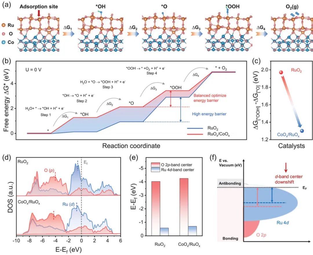 八篇催化頂刊：AM、AFM、EES、ACS Nano、Small、Appl. Catal. B等成果