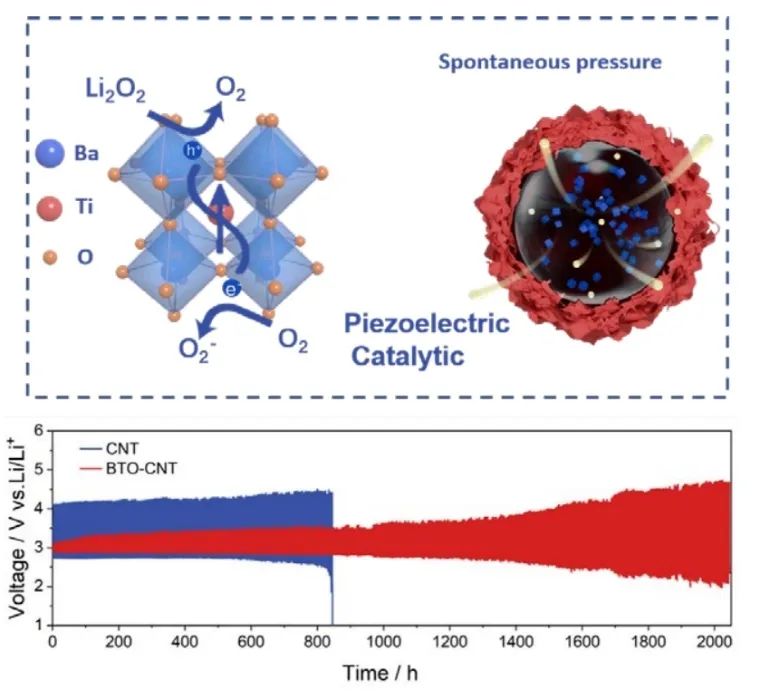 徐吉靜教授團(tuán)隊(duì)Angew.：鈦酸鋇壓電催化劑中的本征應(yīng)力應(yīng)變使鋰氧電池具有低過電位和長(zhǎng)壽命
