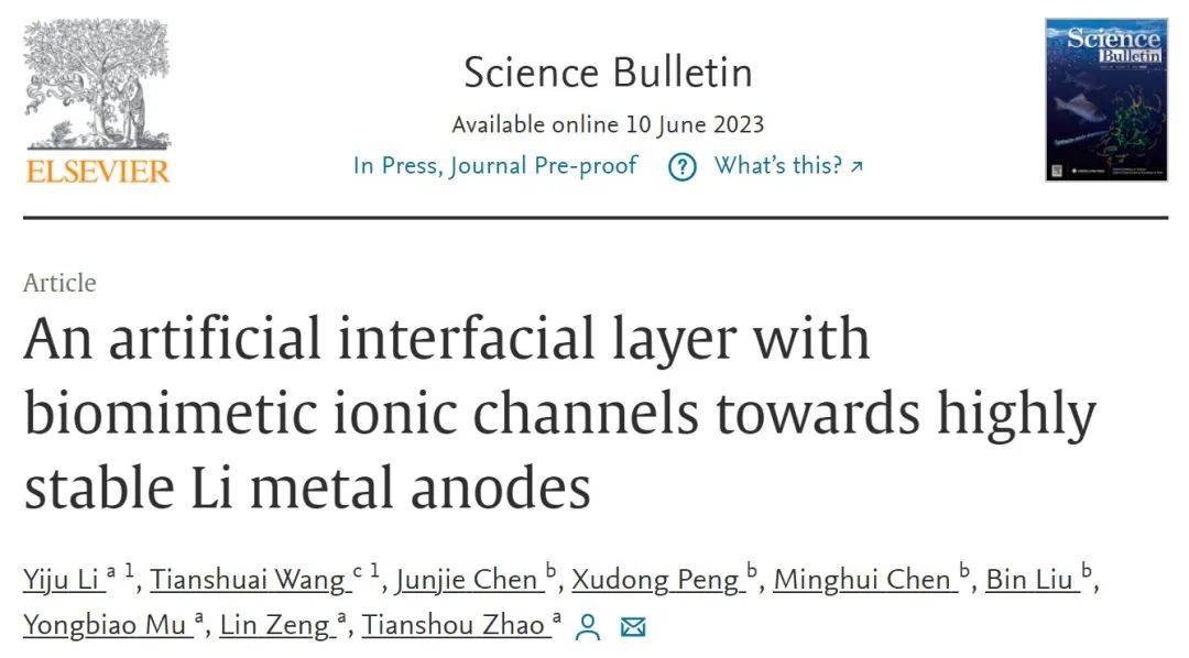 趙天壽團(tuán)隊Sci. Bull.：具有仿生離子通道的人工界面層穩(wěn)定鋰金屬負(fù)極
