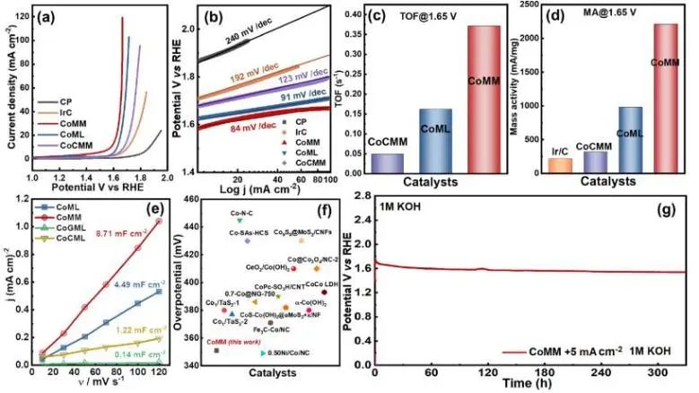 催化頂刊集錦：Nature子刊、JACS、AFM、ACS Catalysis、Nano Energy等