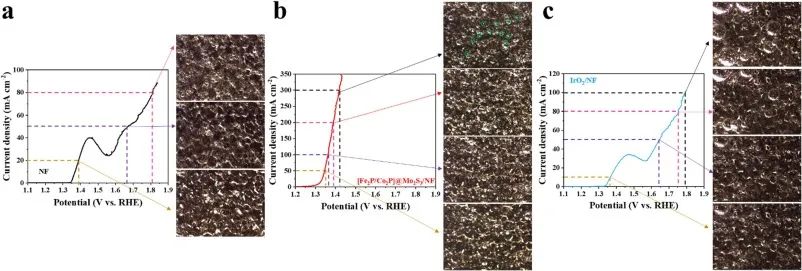 催化頂刊速遞：JACS、AFM、AM、Appl. Catal. B.、CEJ等成果集錦！