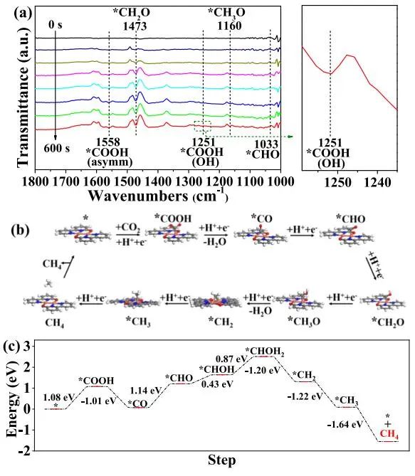 計(jì)算文獻(xiàn)速遞：Nature Catalysis、EES、JACS、Chem、EnSM、Nat. Commun.等！