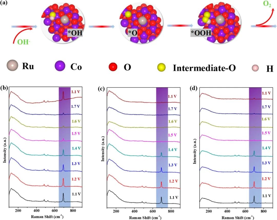 催化頂刊集錦：ACS Catalysis、Small、AFM、JMCA、Nano Letters、ACB等成果