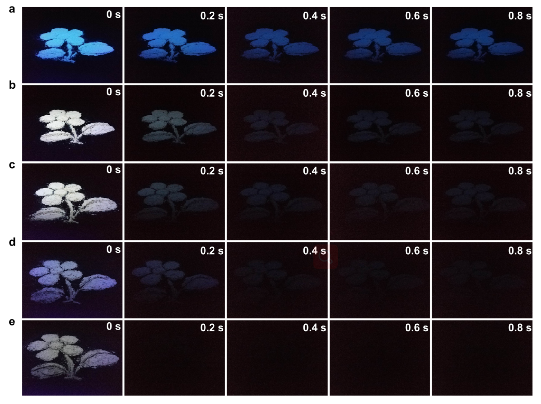 他，第22篇JACS！