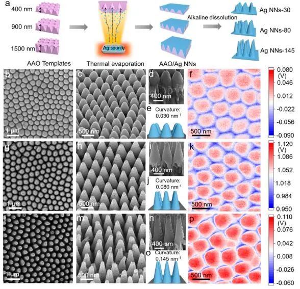 ?中南/慕尼黑大學(xué)ACS Nano：Ag納米針陣列高效電催化N2轉(zhuǎn)化為NH3