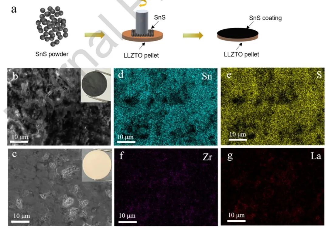 紀效波Nano Energy：原位構(gòu)建多功能夾層實現(xiàn)無枝晶固態(tài)電池