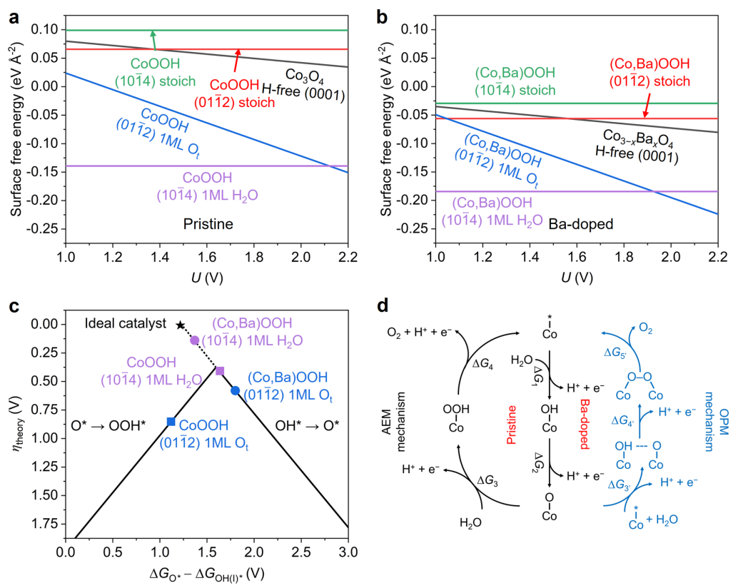 超燃！他，今日發(fā)表第16篇Nature Catalysis，第36篇JACS！