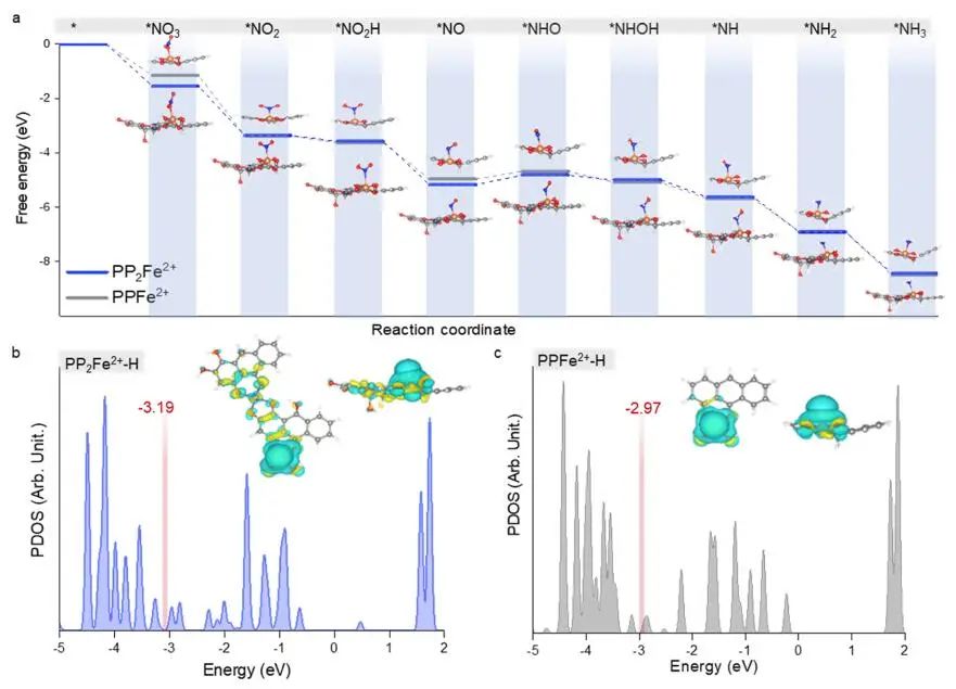 ?浙江大學(xué)單冰團(tuán)隊JACS：近100%選擇性！硝酸鹽電還原制氨