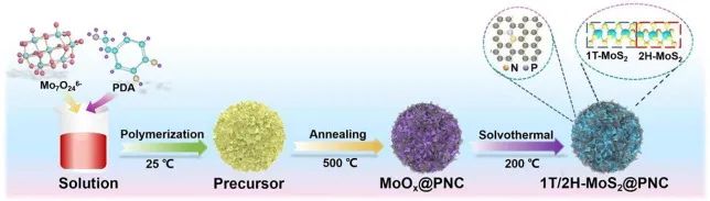 8篇催化頂刊：Angew.、AFM、Small、Appl. Catal. B.、Chem. Eng. J.等