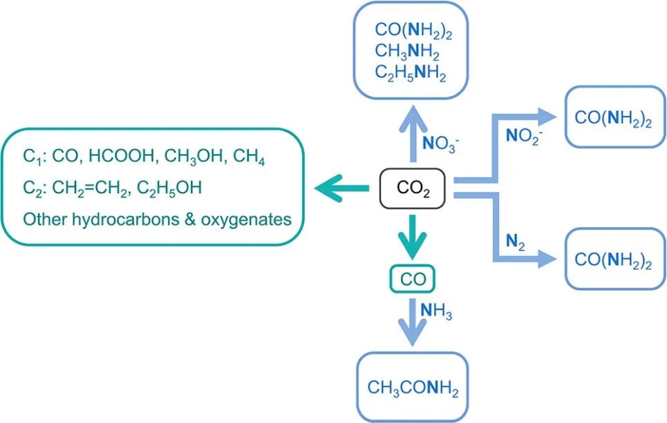 耶魯王海梁JACS：電催化CO2還原中通過(guò)C-N偶聯(lián)獲得有機(jī)氮化合物