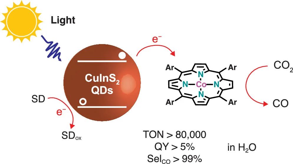 JACS：TON>80000！光敏感QD在水中光還原CO2