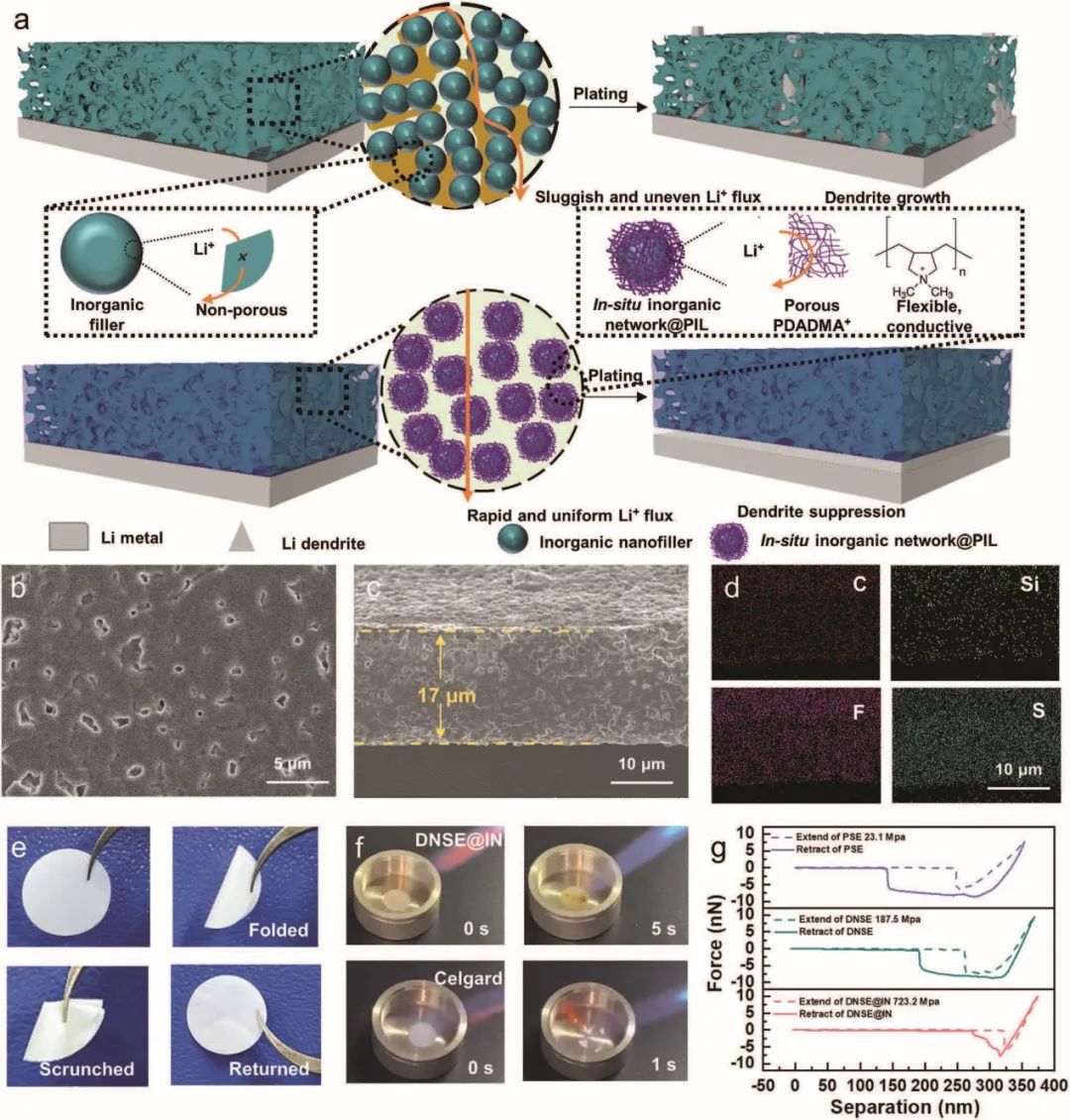 電池頂刊集錦：Nature子刊、Angew、EES、AFM、ACS Energy Lett.、ACS Nano等成果！