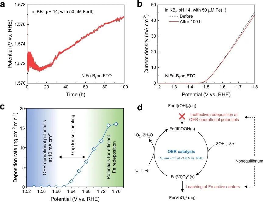 Nature子刊：強堿性條件下電催化和光電化學OER的自修復催化劑