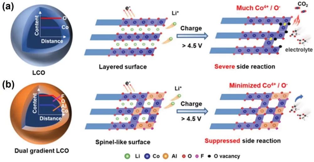 潘鋒/張明建AEM: 陰陽離子雙梯度表面設(shè)計穩(wěn)定4.6 V高壓鈷酸鋰正極！
