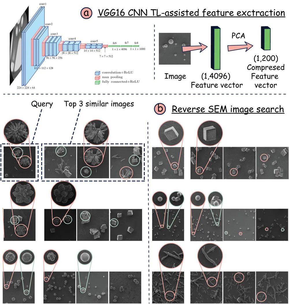 機(jī)器學(xué)習(xí)頂刊匯總：Nature、AM、JACS、Angew、Small Methods等成果