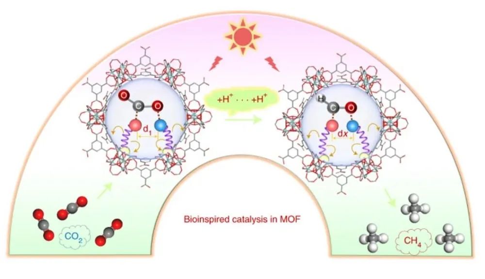 Nature Catalysis：首次報(bào)道！MOF基自適應(yīng)DMSPs光催化CO2為CH4