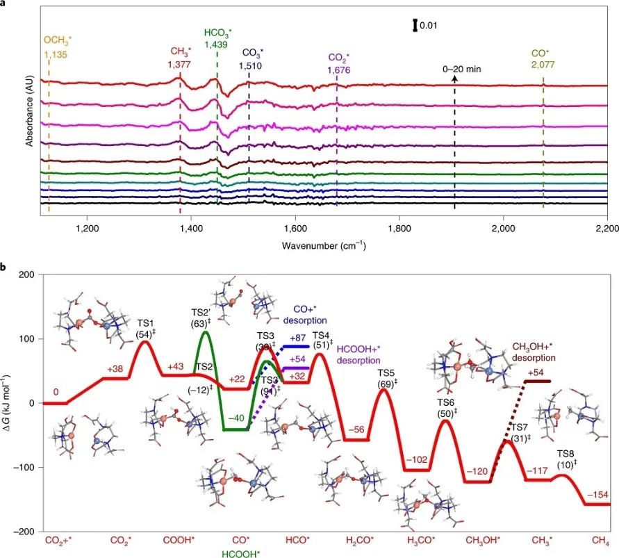 Nature Catalysis：首次報(bào)道！MOF基自適應(yīng)DMSPs光催化CO2為CH4