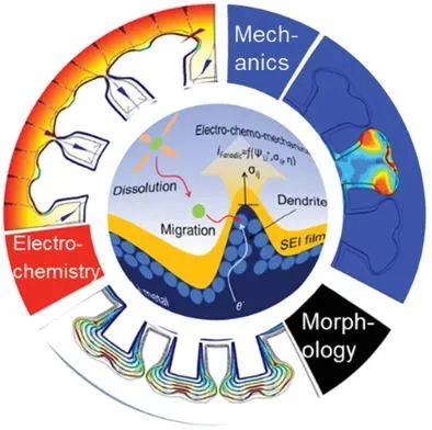 查爾姆斯理工大學(xué)AEM: 人工SEI的物理性質(zhì)與鋰沉積之間的相關(guān)性研究