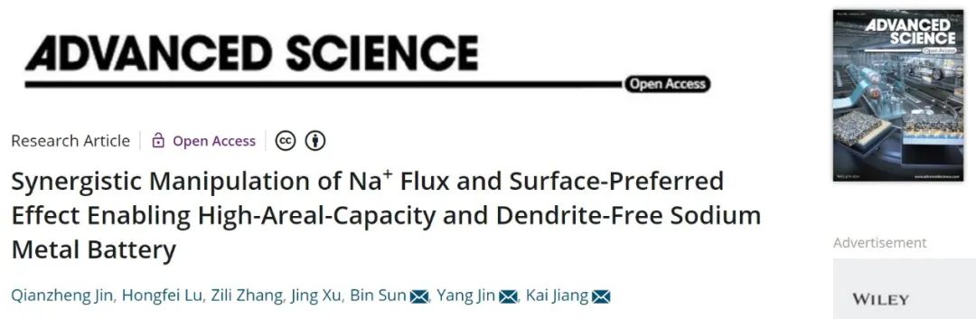 蔣凱/金陽/孫彬Adv. Sci.：三維互穿合金鈉負(fù)極實(shí)現(xiàn)高面容量無枝晶鈉金屬電池