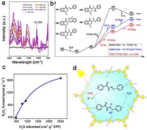 福大ACS Catalysis：光激發(fā)共價(jià)有機(jī)骨架上水合作用引發(fā)的水氧化途徑